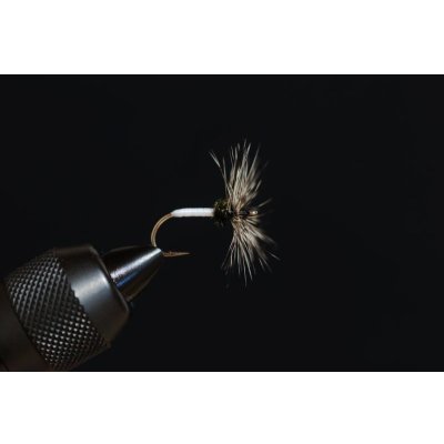 Photo8: Sebata Yuzo Kebari "Kiji-bane Sakasa (Pheasant Sakasa)" Set