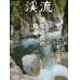 Photo3: Custom Ordered Item #0328 Tenkara Shinsenjutsu DVD, Keiryu 2018 Spring, Sebatake-kun T-shirt (3)