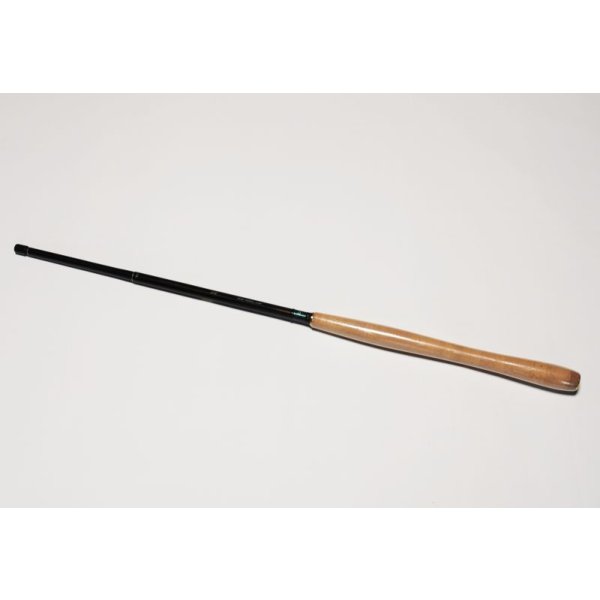 Photo3: Daiwa Expert Tenkara L  (3)