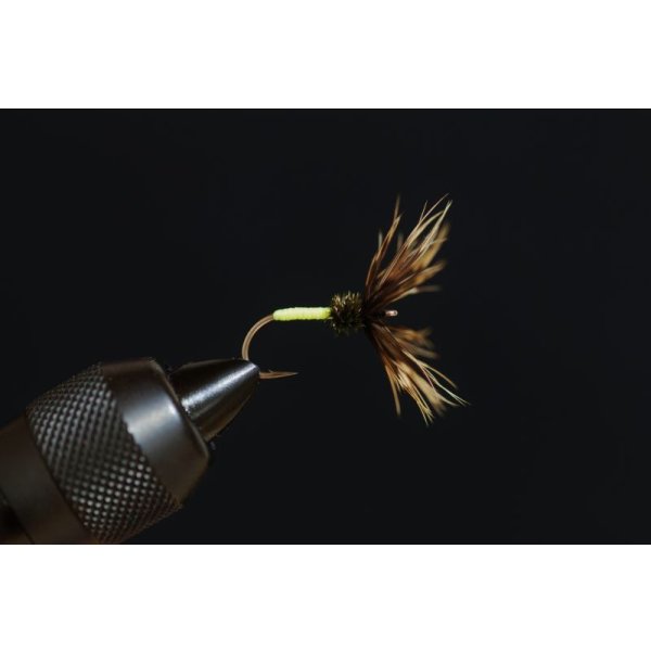 Photo4: Sebata Yuzo Kebari "Kiji-bane Sakasa (Pheasant Sakasa)" Set (4)