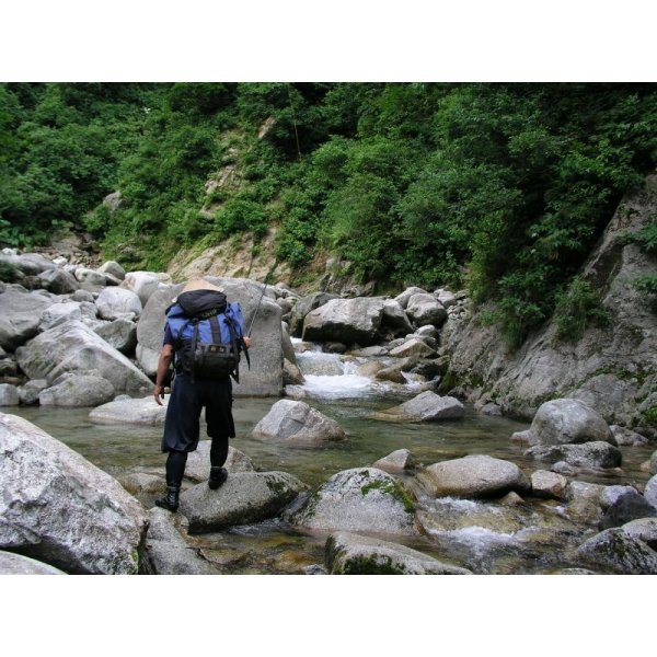 Photo9: Sebata Yuzo Kebari "Kiji-bane Sakasa (Pheasant Sakasa)" Set (9)