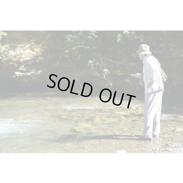 Mr. Yoshikazu Fujioka