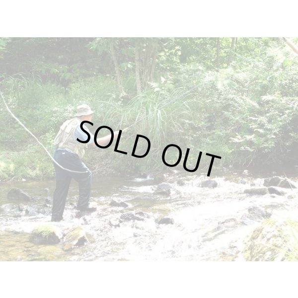 Photo12: Fujioka Collection Traditional Densho Kebari Set Western Japan 2 (12)