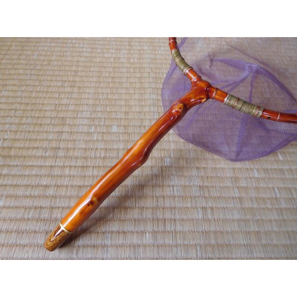 Photo5: Mankyu Keiryu Tamo #142 Momi 24.0cm Purple Net with Case (5)
