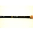 Photo5: Daiwa NEO Tenkara (5)